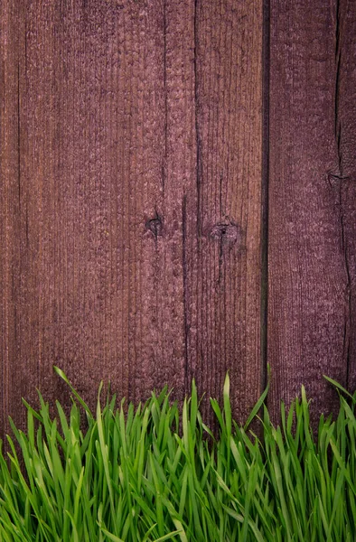 Φρέσκο πράσινο γρασίδι άνοιξη πάνω από ξύλο φράχτη φόντο — Φωτογραφία Αρχείου