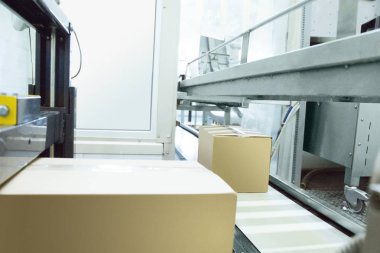 Gıda üretim konveyör makinesi