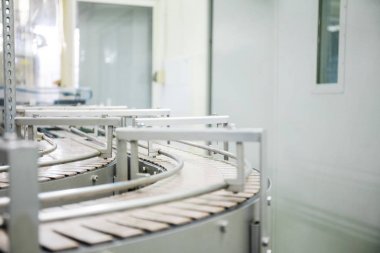 Gıda üretim konveyör makinesi