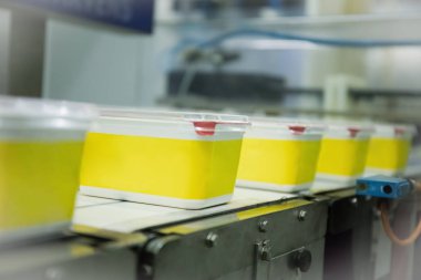 Gıda üretim konveyör makinesi