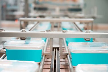 Gıda üretim konveyör makinesi