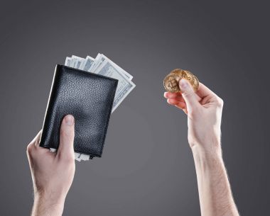 Sikke ve bitcoin paraları ve dolar faturaları karşı bir deri çanta ile el gri arka plan. Dijital izleme, denetleme ve para cryptocurrency konsept değişimi