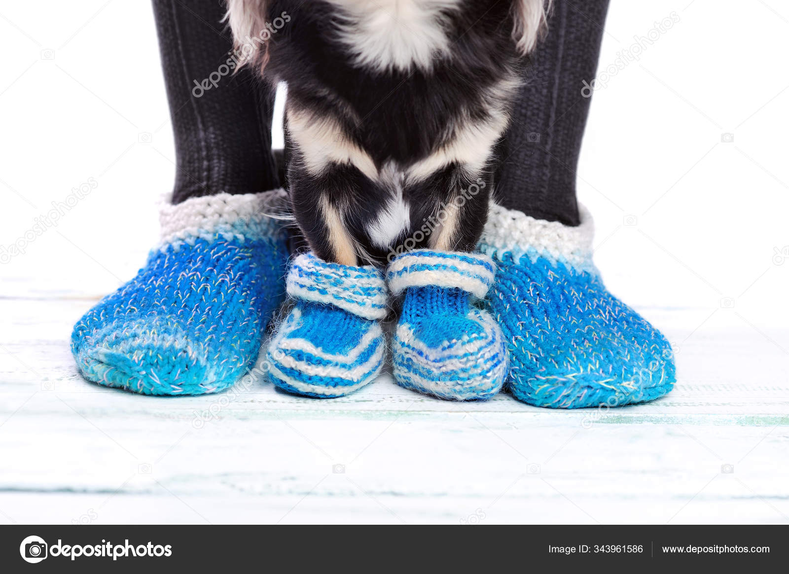knitted dog socks