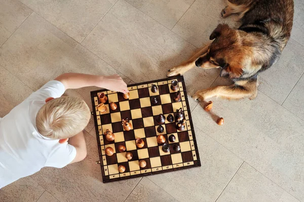 View from above of a boy and dog playing chess on the floor