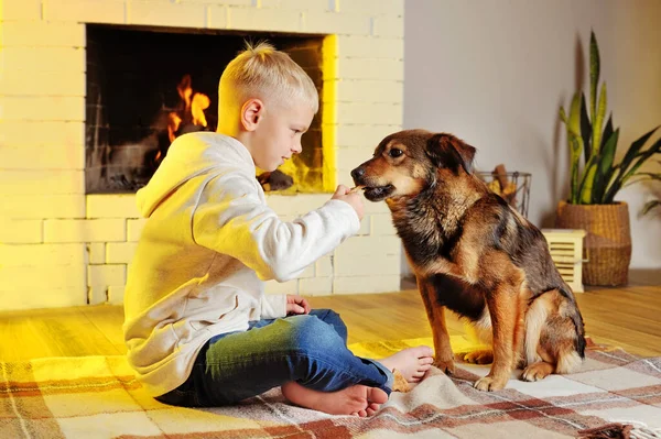 Boy feeding his dog with snack in the living room