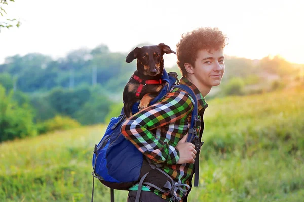 Hiking boy with a dachshund dog in the backpack