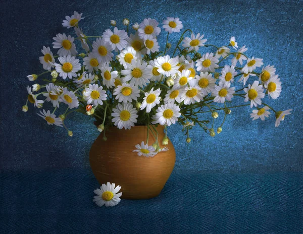 Chamomile Bouquet Blue Background Still Life — Stock Photo, Image