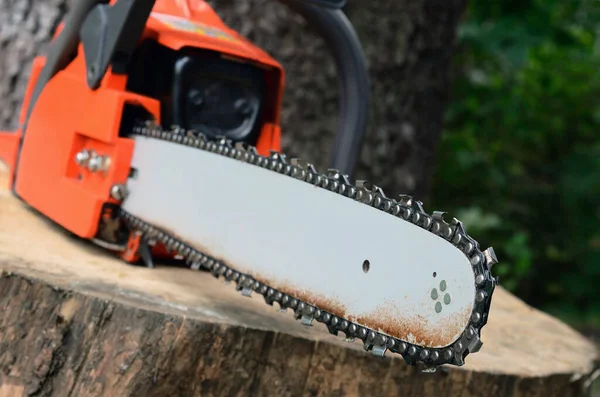 Chainsaw Stump — Stock Photo, Image