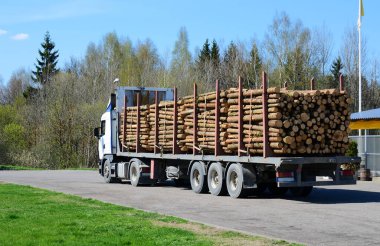  Yolda kütükleri olan bir kamyon.