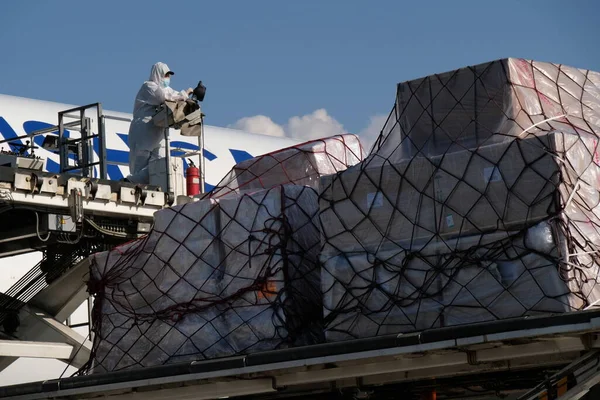 Almaty / Kazakistan - 04.18.2020: Havaalanı personeli ve sağlık görevlileri Türk Kargosunu boşalttı
