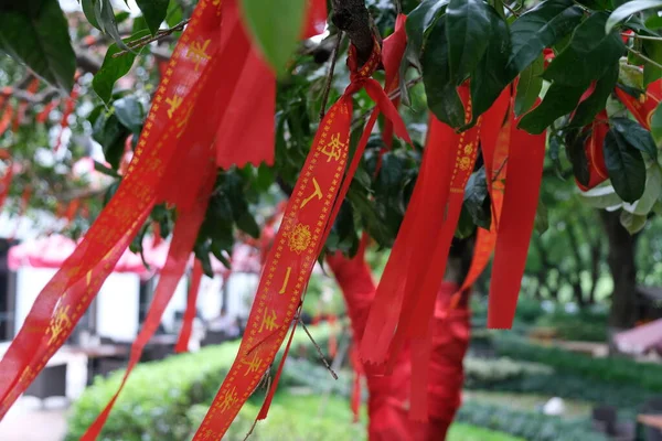 Pequim China 2019 Fitas Vermelhas São Amarradas Árvore Como Símbolo — Fotografia de Stock