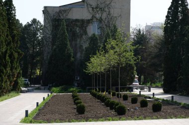 Almaty / Kazakistan - 04.28.2020: Botanik bahçesine yeni çiçek yatakları ekildi