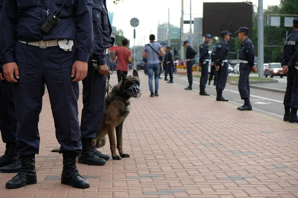 Almaty Kazajstán 2019 Soldados Guardia Nacional Perros Búsqueda — Foto de Stock