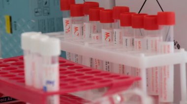 Almaty / Kazakistan: Kişilere koronavirüs testi yapmak için mataralarda reaksiyonlar 