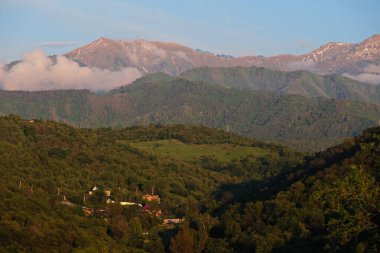 Yamaçlarda, Almaty 'nin eteklerinde bitki örtüsü var. Çiçekli ağaçlar ve çimenler.
