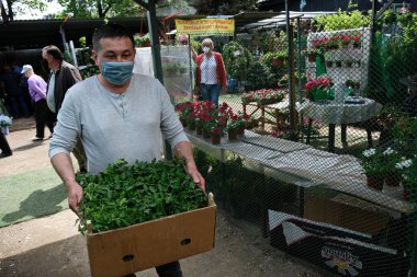 Almaty / Kazakistan - 04.29.2020: İnsanlar bahçeleri için tohum satın alıyor. Mevsimlik sebze ekimi.