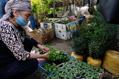 Almaty / Kazakistan - 04.29.2020: İnsanlar bahçeleri için tohum satın alıyor. Mevsimlik sebze ekimi.