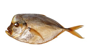 Tütsülenmiş vomer