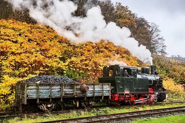 Alimentando um trem a vapor — Fotografia de Stock