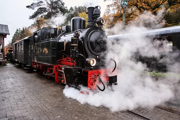 Locomotive à vapeur Photo De Stock