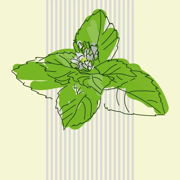 Yeşil Nane Şekeri Gri Kokteyl Tüpleri arka planında Çiçekle Birlikte Çıkıyor