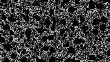 Siyah beyaz geometrik dinamik, modern dekoratif patte.