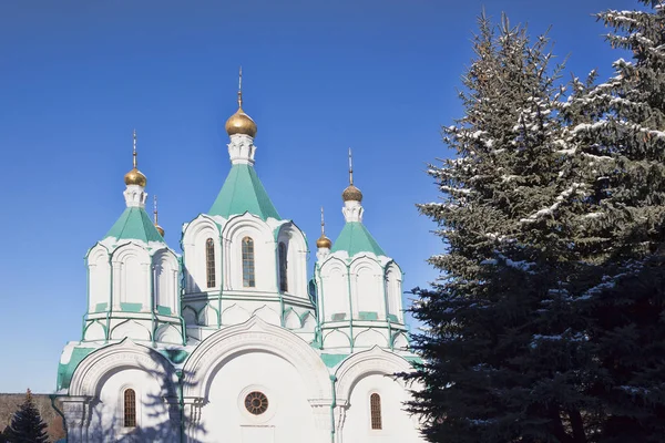 Igrejas de Sviatohirsk Lavra — Fotografia de Stock
