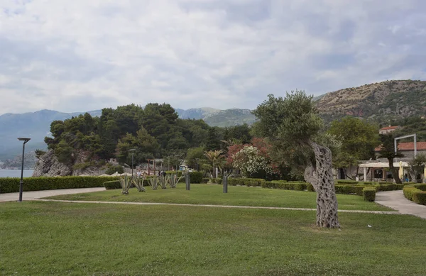 Park vlakbij het eiland Sveti Stefan — Stockfoto