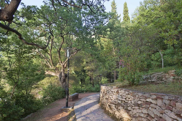 Un sendero pintoresco en el parque —  Fotos de Stock
