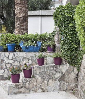 Saksı ile küçük bir merdiven