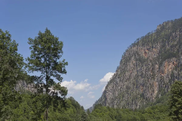 Montagne balcaniche nella zona del canyon del fiume Tara — Foto Stock