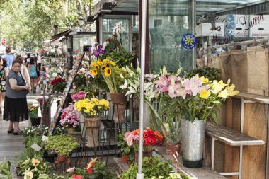 Çiçekler Rambla Bulvarı'nda. Her zaman birçok çiçek burada satıyor
