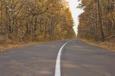 Asfalt yol bölen şeridi ile