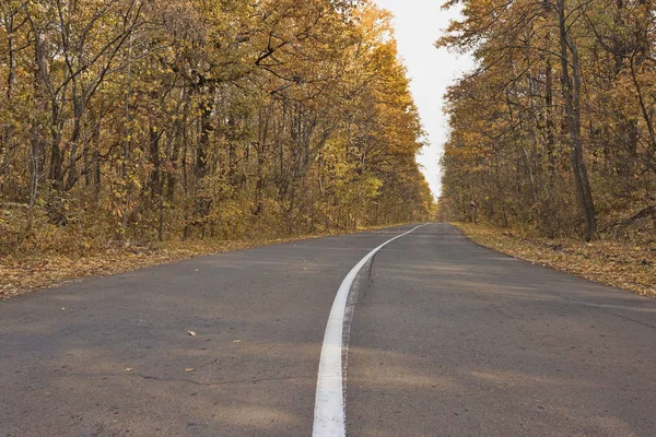 Asfalt yol bölen şeridi ile