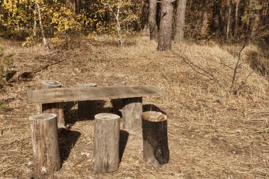 Kütükleri şeklinde sandalyeyle doğaçlama bir tablo