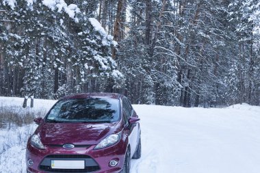 Araba kış ormanda sıcak pembe renk