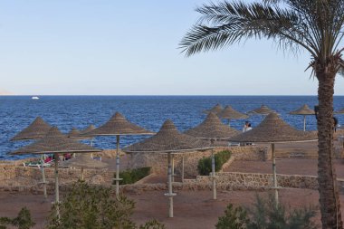 Beach Hotel Dreams Beach Sharm El Sheikh Ocak ayında