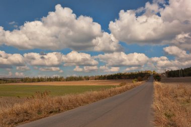 Aydınlık bir sonbahar gününde tarlalarda yol. Beyaz kümülüs bulutları gökyüzünü süslüyor.