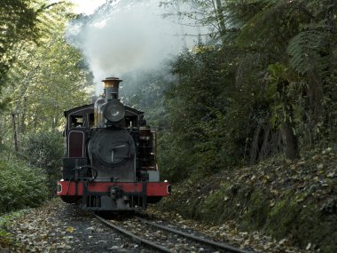 Billy tren yolculuğu Melbourne, Avustralya yakınındaki Dandenong aralıkları aracılığıyla şişirme