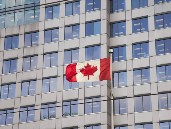 Drapeau du Canada, centre-ville — Photo