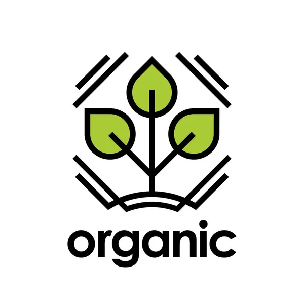 Icono orgánico con hoja de planta verde — Vector de stock