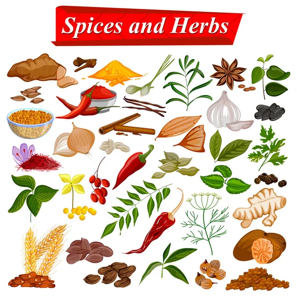 Coleção completa de especiarias aromáticas e ervas usadas para cozinhar — Vetor de Stock