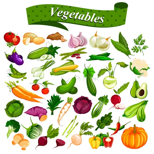 Colección completa de diferentes tipos de verduras frescas y saludables — Vector de stock