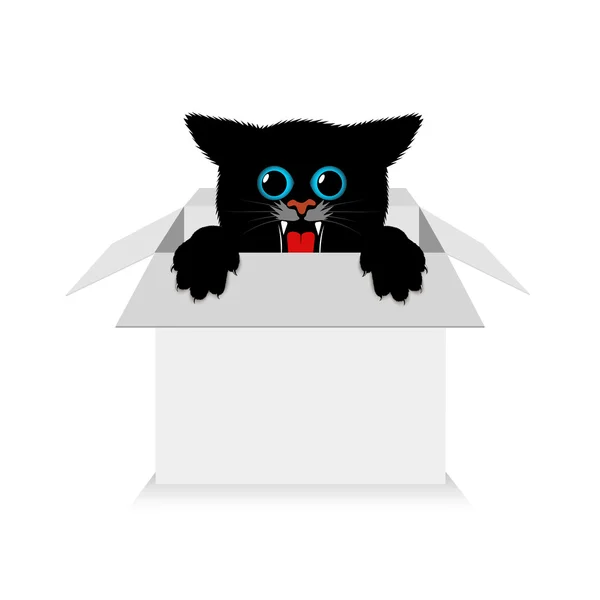 Kitten in a box — Stock Vector