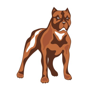 Köpek hırçın doğurmak şekil.