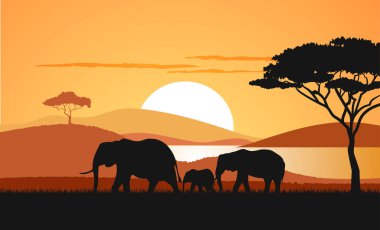 Gün batımı savana bir vektör çizim.