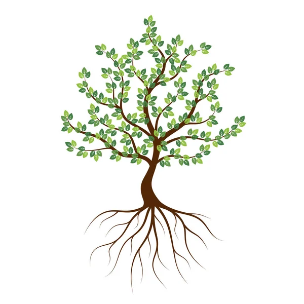 Árbol verde con raíces un icono sobre un fondo blanco . — Vector de stock