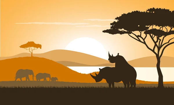 Naplemente a Savanna egy vektoros illusztráció. — Stock Vector