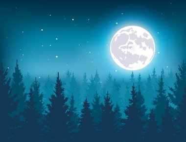 Gece ormanda kış vektör çizim. 