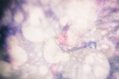 Bulanık bokeh ışık arka planı, Noel ve Yeni Yıl tatilleri arka planı